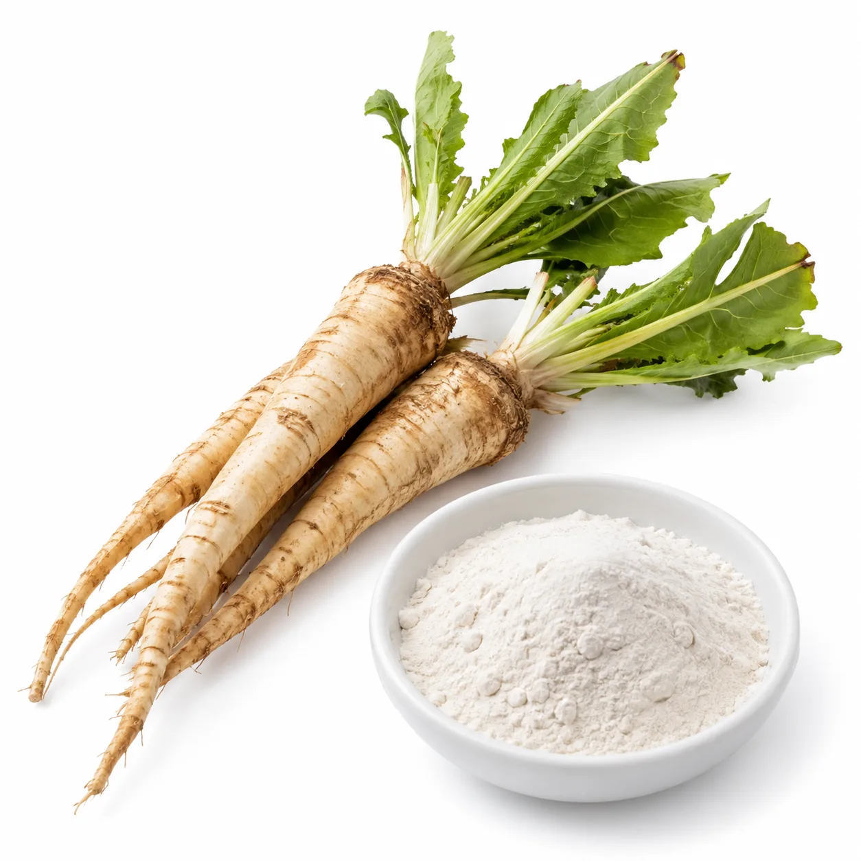 Akar chicory dan serbuk inulin
