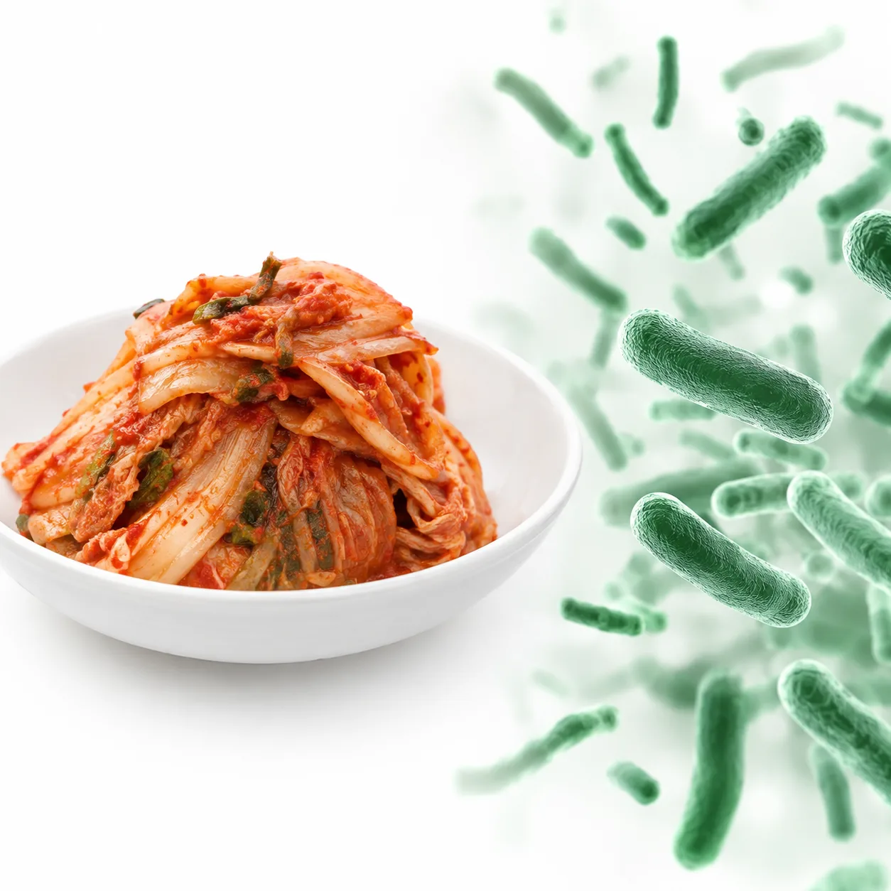 Kimchi dan bakteria Lactobacillus